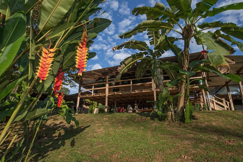 Albergue La Laguna Puerto Jiménez Exterior foto